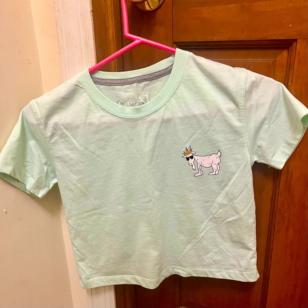 GOAT USA - OG youth crop top in mint - large